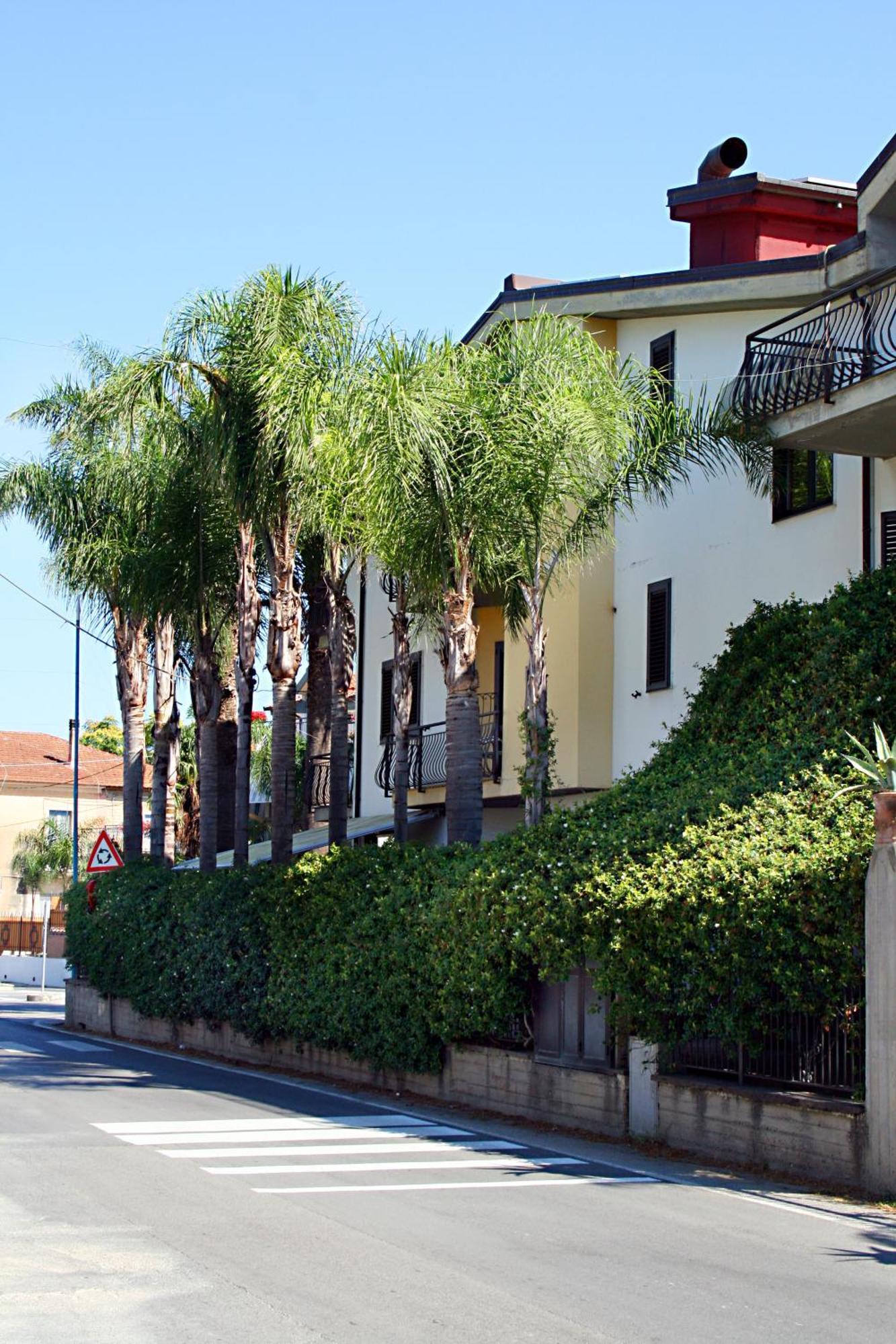 Hotel Il Ceppo Agropoli Esterno foto
